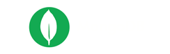MongoDB