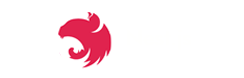 Nest.js